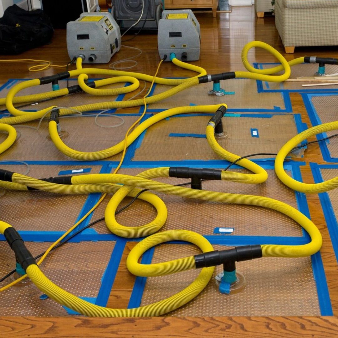 A bunch of yellow hoses are laying on the floor